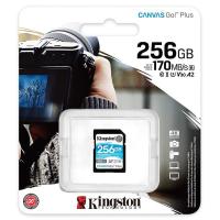 金士顿（Kingston） SDG3/256GB SD存储卡 256GB  U3 V30 4K超高清拍摄 读速170MB/s 写速90MB/s (单位：个)  黑色