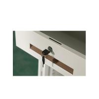 臻远 ZY5062205 钢制文件柜二抽矮柜 85*40*39cm（单位：台）白色