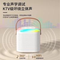 康佳（KONKA） KK12 K歌音箱 1音箱+2麦克风/套（单位：套）白色
