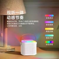 康佳（KONKA） KK12 K歌音箱 1音箱+2麦克风/套（单位：套）白色