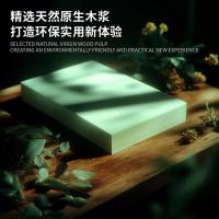 帝易思 DYS-ZY-A480 打印纸 A4 80g 500张/包 5包/箱 （单位:箱）