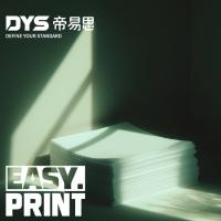 帝易思 DYS-ZY-A480 打印纸 A4 80g 500张/包 5包/箱 （单位:箱）