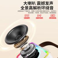 康佳（KONKA） KN13 蓝牙K歌音箱 双麦克风(单位：套) 油彩白