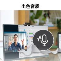 罗技（Logitech） Brio 95 网络摄像头 1080p(单位：个) 黑色