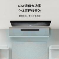 创维（Skyworth） Sound7-B 蓝牙音箱 760*84.5*67mm(单位：个)