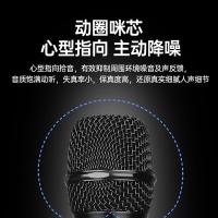 得胜（TAKSTAR） JD-4D 无线一拖四麦克风 100米接收 黑色（单位：套）