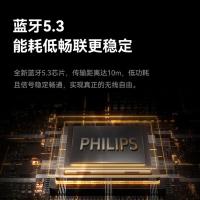 飞利浦（PHILIPS） S1009 蓝牙音箱 蓝牙5.3(单位：个)