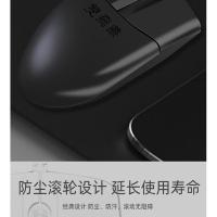 双飞燕（A4TECH） OP-520NP 117*60*30mm 鼠标（单位：个）