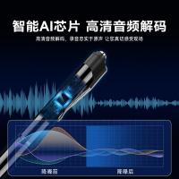 纽曼（Newmine） RV100智能录音笔 64G+云存储 （单位：个） 黑
