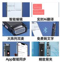 纽曼（Newmine）A13专业录音笔64G（单位：个）