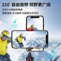 飞利浦（PHILIPS） DLK5100B/93 自拍杆 195mm 黑红色（单位：个）