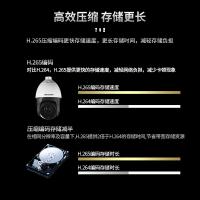 海康威视 DS-2DC4223IW-DE 视频摄像头 200W 白色（单位：个）