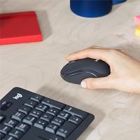 罗技（Logitech）MK295 键盘鼠标 无线  静音（单位：套）黑色