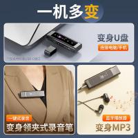 爱国者（aigo） MP3-500 便携U盘式无损录音笔音乐播放器 64GB 0.96英寸80*160 高灵敏度电容触控按键 黑色 支持蓝牙 (单位:个)