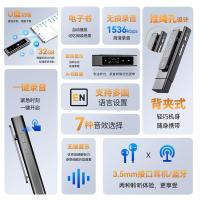爱国者（aigo） MP3-500 便携U盘式无损录音笔音乐播放器 64GB 0.96英寸80*160 高灵敏度电容触控按键 黑色 支持蓝牙 (单位:个)