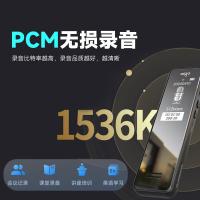 爱国者（aigo） R6933plus 录音笔 32GB 外形尺寸102*29.5*9mm 0.96英寸TFT显示屏 分辨率80*160 炫黑 (单位:个)