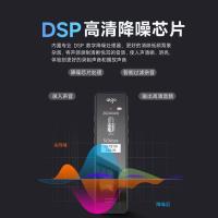 爱国者（aigo） R6933plus 录音笔 32GB 外形尺寸102*29.5*9mm 0.96英寸TFT显示屏 分辨率80*160 炫黑 (单位:个)