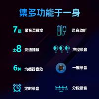 爱国者（aigo）R3377录音笔64G （单位：个）