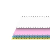 腾立达 241-4 电脑打印纸 1000张/箱 80列  5箱/件 (单位:件) 彩色