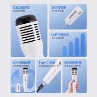 得胜（TAKSTAR） HM-300W 无线手持麦克风 150g（单位：套）白色