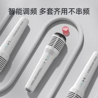 得胜（TAKSTAR） HM-300W 无线手持麦克风 150g（单位：套）白色