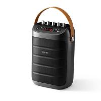 漫步者（EDIFIER） PK305 便携式户外移动音箱 205*295*130mm 配话筒*1 (单位: 套)
