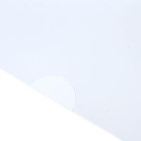 得力（deli）5706 透明文件套 A4 二页 10个/包 (单位：包)