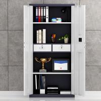 臻远 ZY-SY-253 通门智能指纹密码锁保密柜 90*42*185cm（单位：台）灰白套色