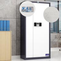 臻远 ZY-SY-250 通门电子锁保密柜 90*42*185cm（单位：台）灰白套色