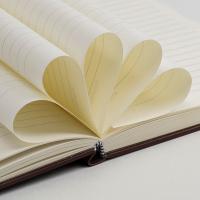 齐心（COMIX）C5816 商务皮面本记事本 A4 160张（单位：本）黑色