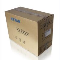 科士达（KSTAR） YDC9106H UPS不间断电源 6000VA/5400W 191*460*337mm （单位：台）