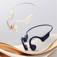 爱国者（aigo） G03 耳机 IP56级防尘防水 米色（单位：个）