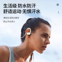 纽曼（Newmine）HM-50 颈挂式蓝牙耳机 70mAh （单位：台) 黑色