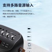 漫步者（EDIFIER） PK305 便携式户外移动音箱 经典版 18W(单位：个) 黑色