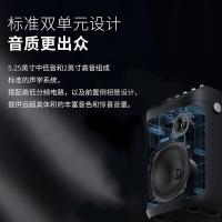 漫步者（EDIFIER） PK305 便携式户外移动音箱 经典版 18W(单位：个) 黑色