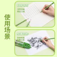 齐心（COMIX） PDMP0080-30 熊猫洞洞铅笔 HB 30支/桶（单位：桶） 黑