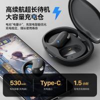 飞利浦（PHILIPS）TAT2739 挂耳开放式真无线运动耳机 IPX5（单位：个）蓝色