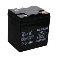 山克 SK24-12 UPS不间断电源电池 12V24AH (单位:节)