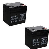 山克 SK24-12 UPS不间断电源电池 12V24AH (单位:节)