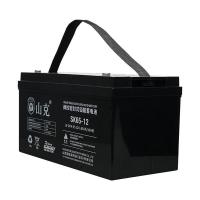山克 SK65-12 UPS不间断电源电 12V65AH (单位:节)