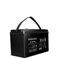 山克 SK100-12 铅酸免维护蓄电池 12V100AH (单位:节)