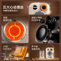 点音 Spark-Pro 双麦克风 东方玲珑pro蓝牙音箱 音箱电池54Wh 话筒电池4.44Wh 话筒音响一体麦克风K歌 点音Spark-Pro话筒音响一体麦克风K歌蓝牙音箱双麦克风东方玲珑pro (单位:台)