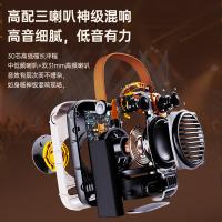 点音 Spark-Pro 双麦克风 东方玲珑pro蓝牙音箱 音箱电池54Wh 话筒电池4.44Wh 话筒音响一体麦克风K歌 点音Spark-Pro话筒音响一体麦克风K歌蓝牙音箱双麦克风东方玲珑pro (单位:台)