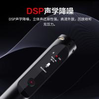 纽曼（Newmine）i30智能录音笔 64G+云存储（单位：个） 灰