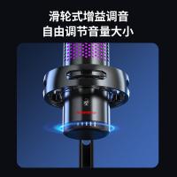 纽曼（Newmine）ZM09E 专业电脑麦克风麦克风 130*103*217mm（单位：台）黑色