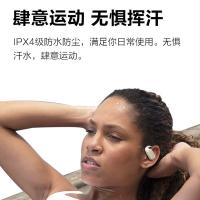 纽曼（Newmine） TWS-Q3 挂耳式蓝牙耳机 蓝牙5.4(单位：个) 白色