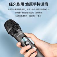 得胜（TAKSTAR） TS-5999 无线话筒 手持 一拖二（单位：套）黑色