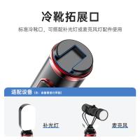 飞利浦（PHILIPS） DLK5306 自拍杆 1.6M （单位:个）
