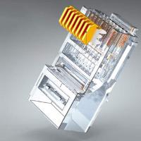 山泽（SAMZHE） CKT6100 六类直通穿孔式水晶头 8P8C纯铜镀金千兆网络连接器 RJ45电脑网线接头 100个  (单位：盒 )