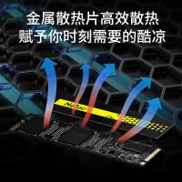 朗科(Netac) G901 SSD固态硬盘 行业国产芯片M.2接口3100MB/s读速2TB(单位：个)黑色